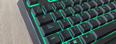 ornata_v2_lateral.avif