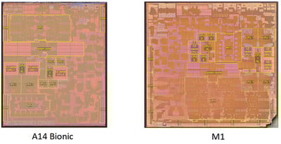 p9g5vqdbaogb0wic.jpg
