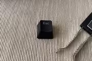 427456 bytes