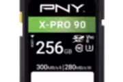 125293 bytes