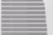 81402 bytes