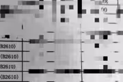 77506 bytes