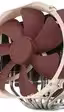 Noctua prepara una segunda versión de la refrigeración NH-D15 bastante mejorada