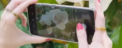 camara_principal.avif