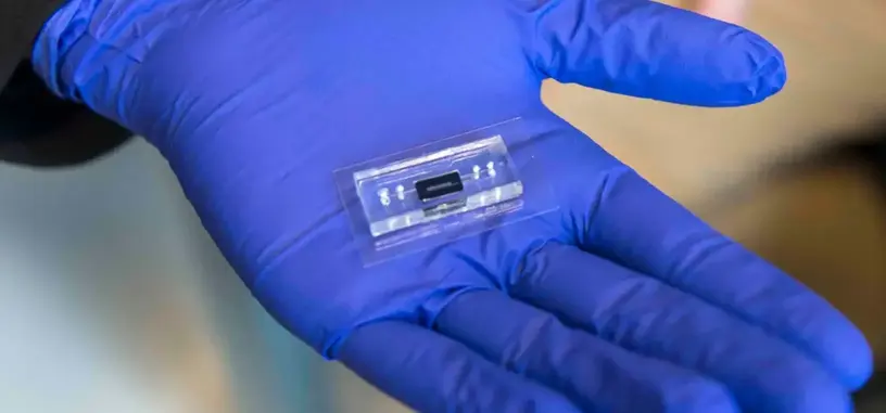 Diseñan un procesador hecho a partir de ADN que puede procesar y almacenar datos