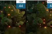 87830 bytes