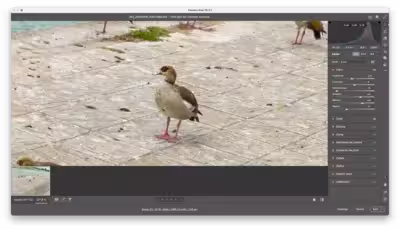modo_pro.avif