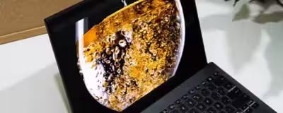 pantalla_.avif