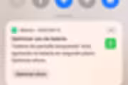 44308 bytes