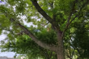 5562722 bytes