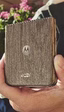 Motorola anuncia la serie Razr 70 con tres modelos diferentes