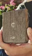 Motorola anuncia la serie Razr 70 con tres modelos diferentes