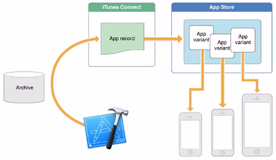app_thinning_2x.avif