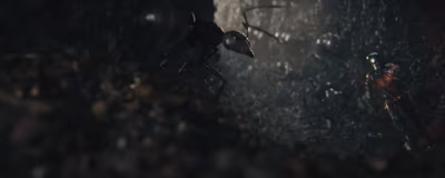 ant-man_5.avif