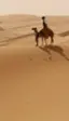 Google mapea el desierto árabe con Street View a lomos de un camello
