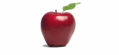 Apple inaugura una página en la que ver el estado de los sistemas de sus servicios de Internet