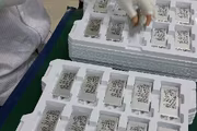 66174 bytes