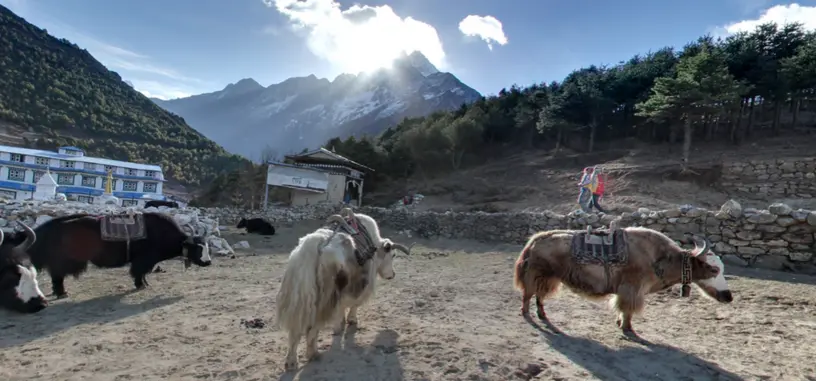 Google Street View llega a las montañas del Nepal