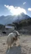 Google Street View llega a las montañas del Nepal