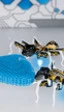 Estas hormigas y mariposas robóticas actúan como las de verdad