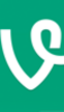 Un vistazo a Vine, la nueva aplicación que nos trae Twitter para compartir vídeos