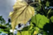 326356 bytes