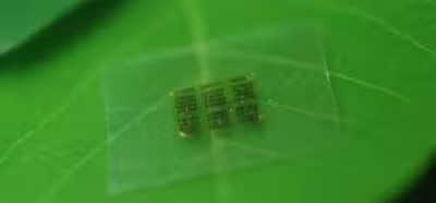 Los chips del futuro estarán hechos de madera