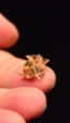 Este robot de origami se monta a sí mismo, se mueve y luego se disuelve