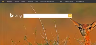Bing comenzará a encriptar por defecto las búsquedas