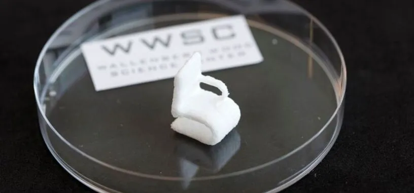 Ahora ya se pueden imprimir objetos en 3D hechos de celulosa de madera