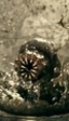 Este es el primer avance de 'Una serie de catastróficas desdichas' de Netflix