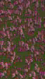 Una horda de gnomos se apodera de esta demo de los drivers Vulkan para teléfonos
