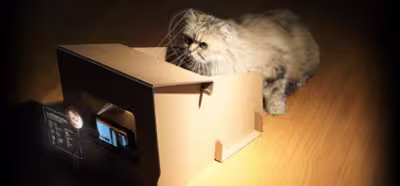 Se acabaron los gatos obesos con este comedero y aplicación que monitoriza lo que come