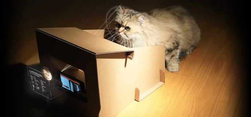 Se acabaron los gatos obesos con este comedero y aplicación que monitoriza lo que come