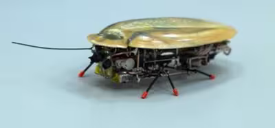 Una realista cucaracha robot es el espía perfecto