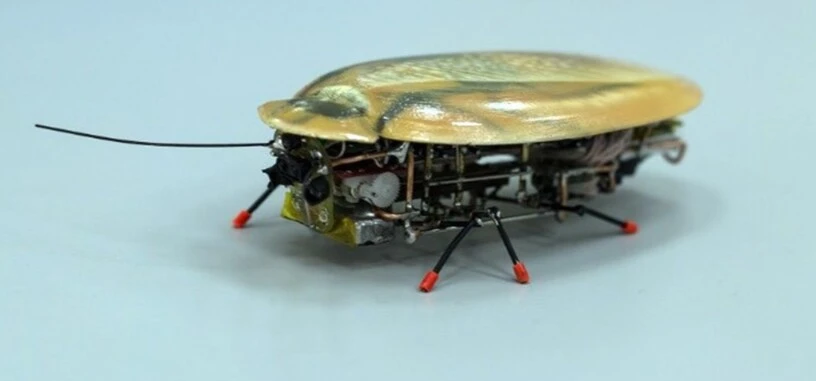 Una realista cucaracha robot es el espía perfecto