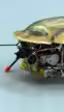 Una realista cucaracha robot es el espía perfecto