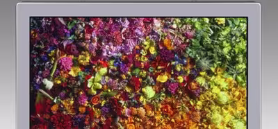 Japan Display muestra su panel IPS de 17,3 pulgadas con resolución 8K