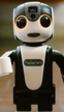 En Japón quieren sustituir tu smartphone por este robot