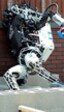 Este algoritmo enseña a los robots a caerse sin romperse nada