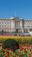 El Palacio de Buckingham y la Gran Barrera de Coral llegan a Google Expeditions