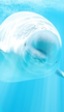 Pornhub quiere tu ayuda para salvar a las ballenas
