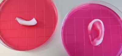 Una impresora 3D permitirá 'crear' tejido humano