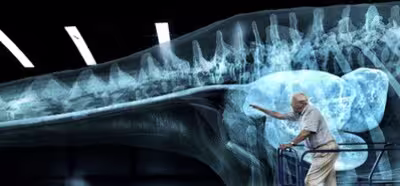 La BBC creó un vídeo de 360 grados con el dinosaurio más grande de la historia