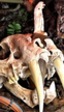 Un modder crea un ordenador prehistórico digno de jugar a 'Far Cry Primal'