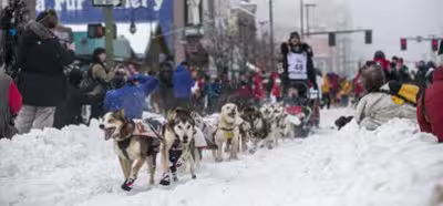 Google Street View documentó la carrera Iditarod en Alaska