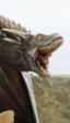 Drogon, Rhaegal y Viserion, los dragones de 'Juego de Tronos', visitarán EE. UU.