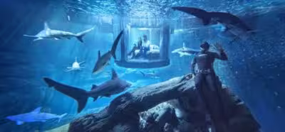 A través de Airbnb podrás pasar una noche en una habitación rodeada de tiburones
