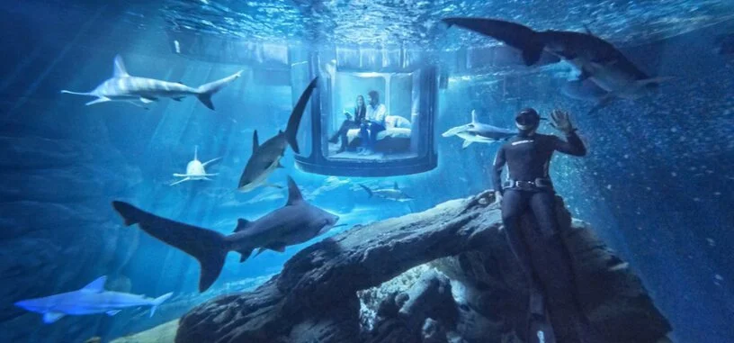 A través de Airbnb podrás pasar una noche en una habitación rodeada de tiburones