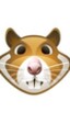 xHamster bloquea a todos los residentes de un estado en señal de protesta